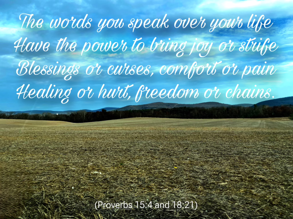 Parkinson's Stories - a photo of a big field with mountains in the background and Joan's poem