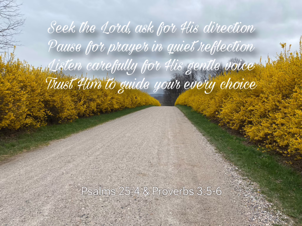 Parkinson's Stories - photo of a gravel road lined with Forsythia bushes and a poem from Joan